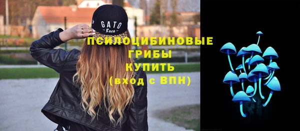 молекула духа Осташков