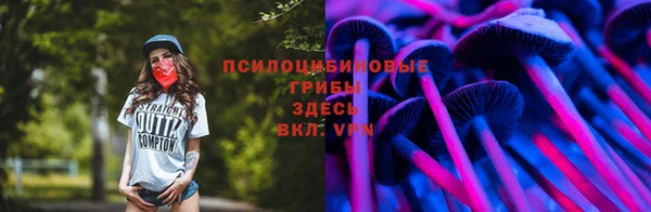 молекула духа Осташков
