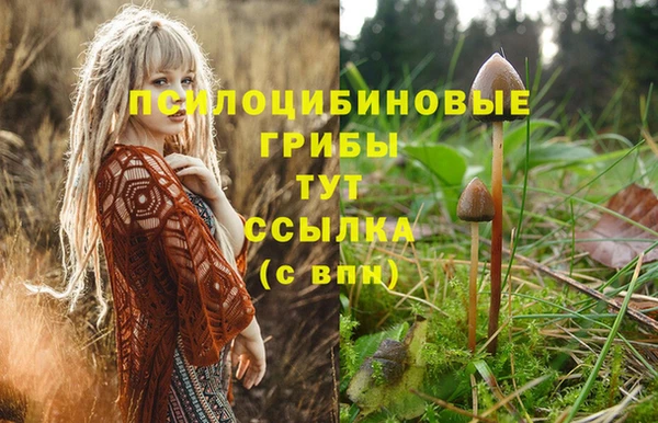 молекула духа Осташков
