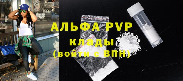 молекула духа Осташков