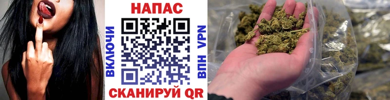 где можно купить Сертолово kraken ТОР МАРИХУАНА SATIVA & INDICA